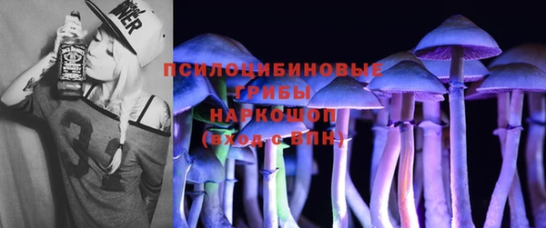 ГАЛЛЮЦИНОГЕННЫЕ ГРИБЫ Балахна
