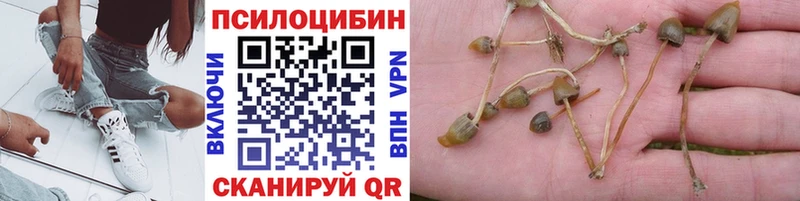 Псилоцибиновые грибы Magic Shrooms OMG ТОР Котово