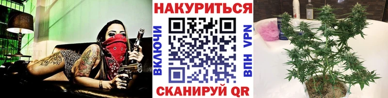 Канабис ГИДРОПОН  Котово 